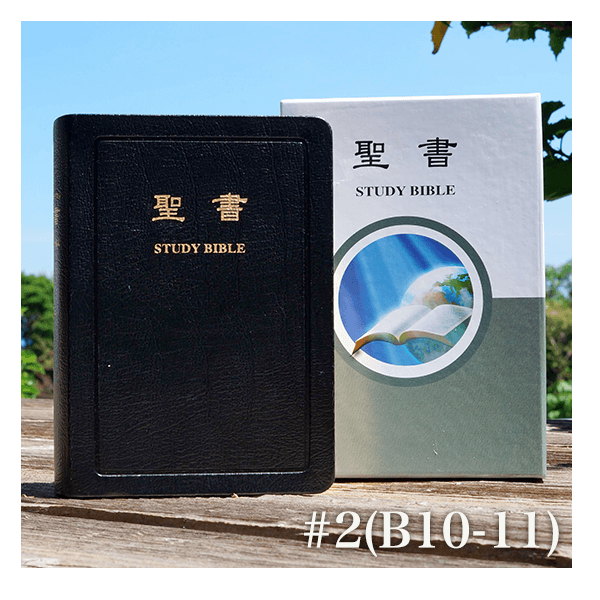 スタディバイブル 口語訳 第4版 – サンライズミニストリー